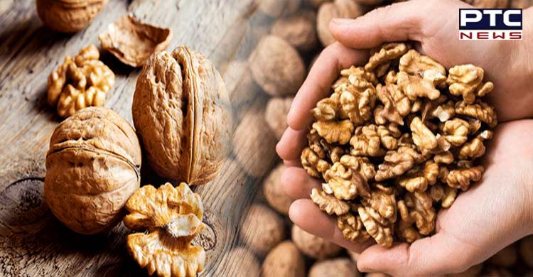 Here's how California Walnuts can help you make every day healthy