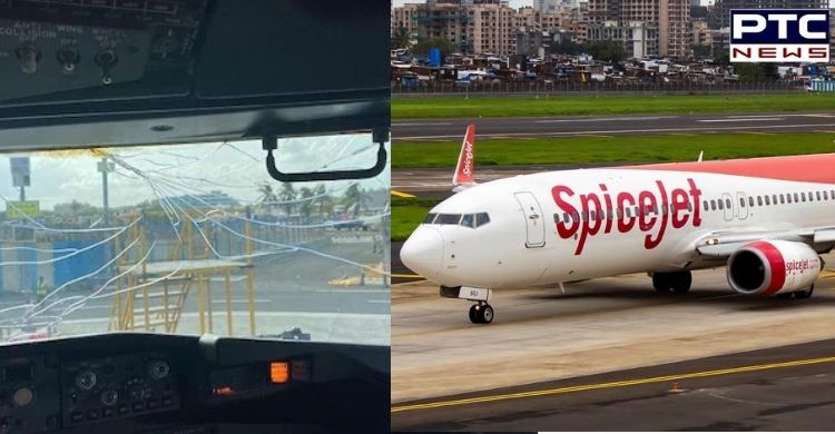 SpiceJet plane headed for UP returns to Mumbai after windshield cracks mid-air