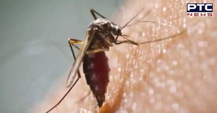National Dengue Day 2022 : ਮੱਛਰ ਤੋਂ ਪੈਦਾ ਹੋਣ ਵਾਲੀ ਬਿਮਾਰੀ ਦੇ ਲੱਛਣ, ਰੋਕਥਾਮ ਅਤੇ ਇਲਾਜ