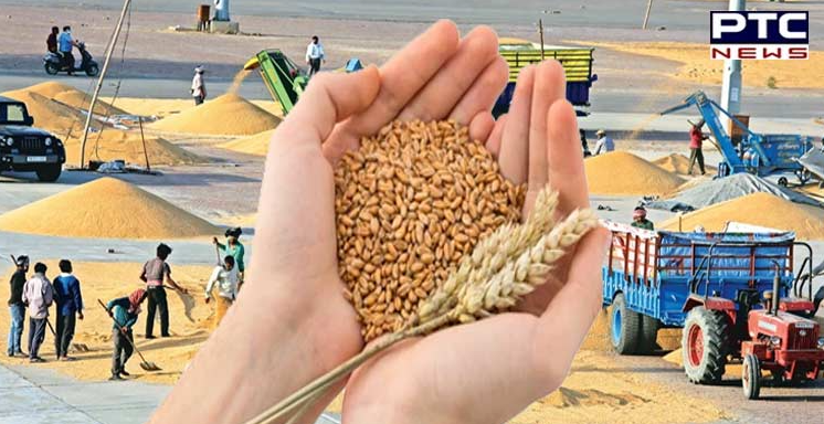 Centre extends wheat procurement season till May 31, details inside