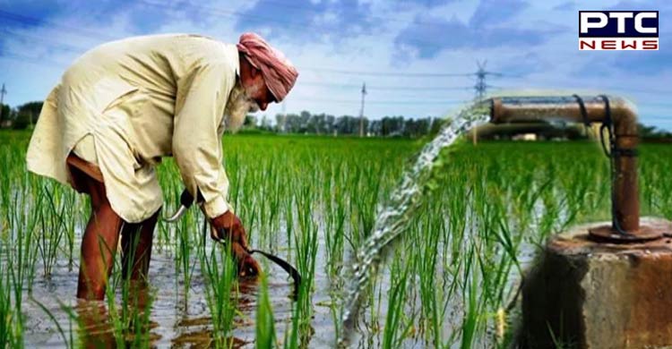 PSPCL promises 8-hour power supply to Punjab farmers for paddy transplantation