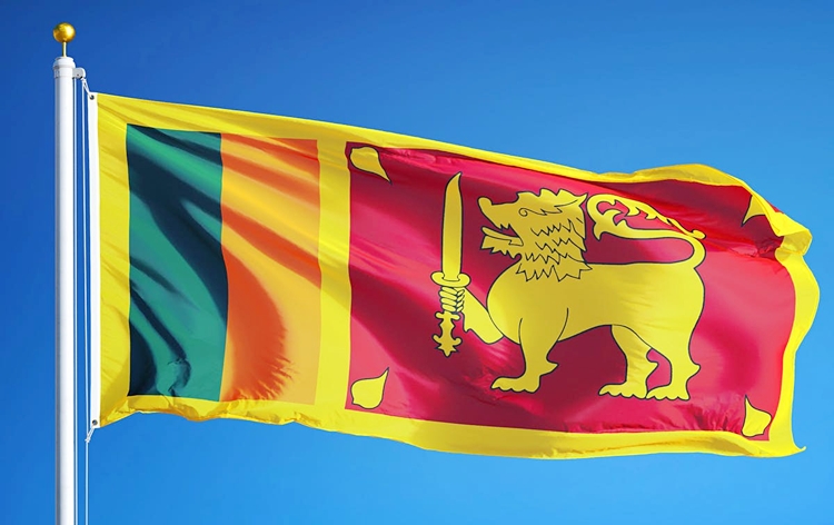 Sri Lanka announces shut-down of govt offices, schools amid fuel crisis
