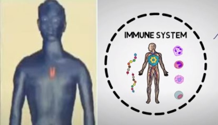 क्या आपको पता है आपकी इम्यूनिटी स्ट्रॉन्ग है या कमजोर? इन लक्ष्णों से  कीजिए इसकी पहचान