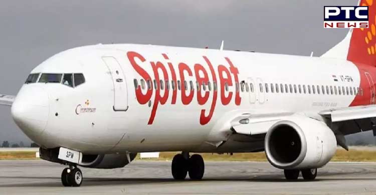 SpiceJet flight makes emergency landing at Delhi airport after crew notices smoke in cabin