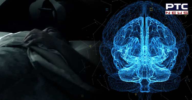 Brain’s neuron works even when you are asleep