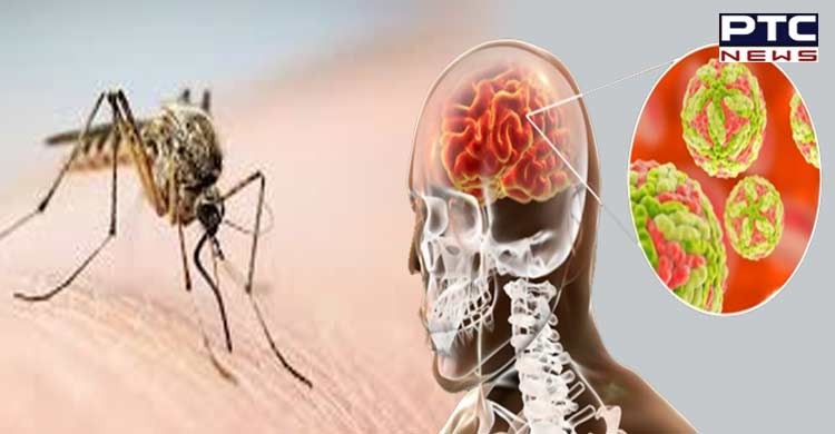 Mosquito-borne disease Japanese Encephalitis claims 44 lives in Assam