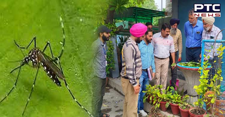 Dengue larvae found at Patiala's Lady Fatima School; challan issued