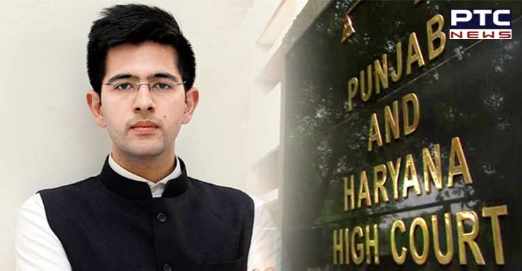 Petition filed in HC challenging Raghav Chadha's appointment as advisory panel chief