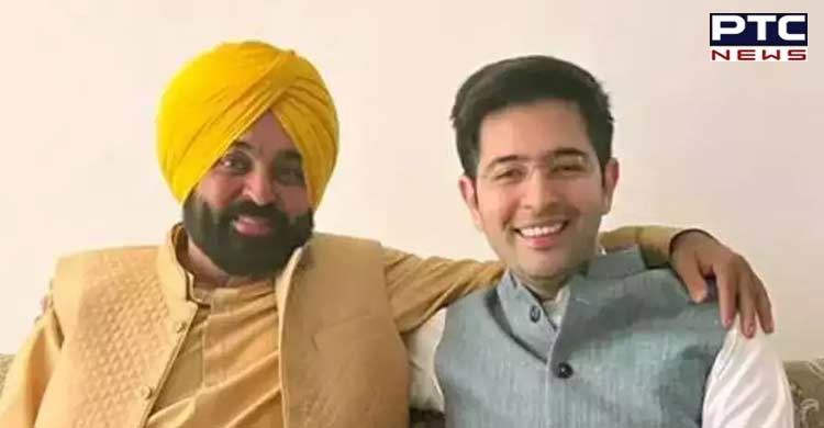 Petition filed in HC challenging Raghav Chadha's appointment as advisory panel chief 