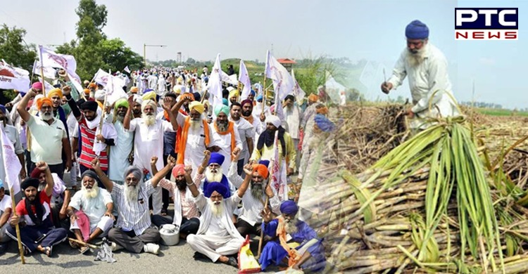 Farmers launch 'indefinite' dharna at Phagwara Sugar Mill Chowk