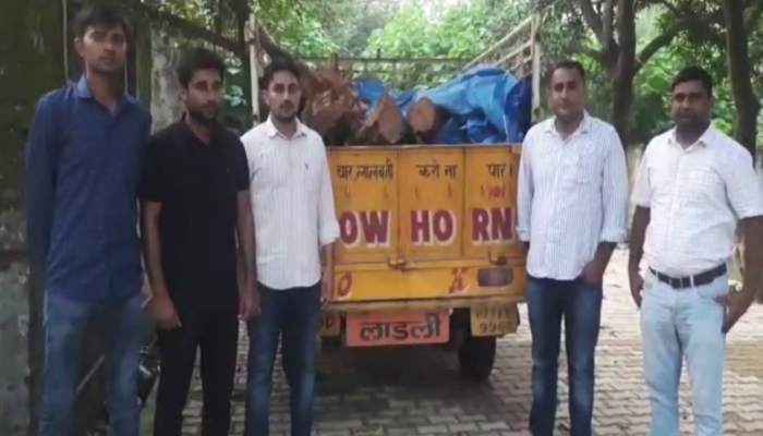 यमुनानगर में खैर की अवैध तस्करी, वन विभाग ने लकड़ी से भरी जीप को पकड़ा