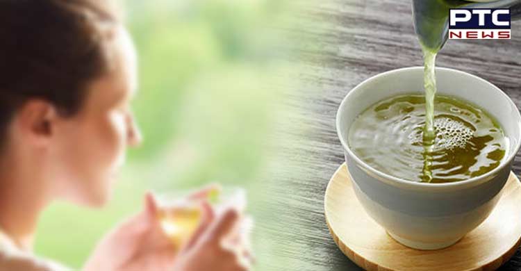 Green tea extract improves gut health, lowers blood sugar level: Study