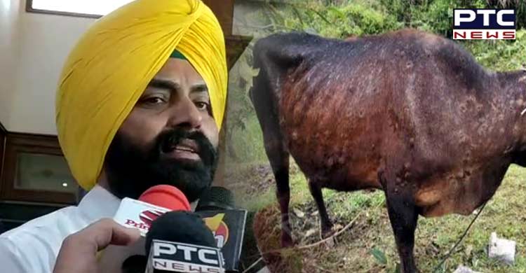 Centre assures all support to Punjab in tackling lumpy skin disease, says Laljit Bhullar