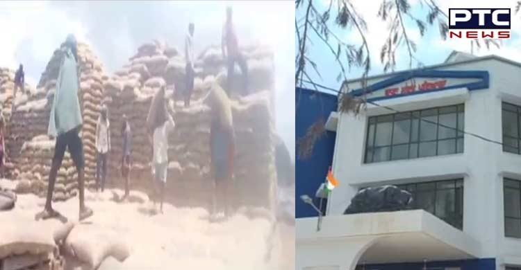 Patiala: 19,000 bags of wheat go missing from PUNSUP godown