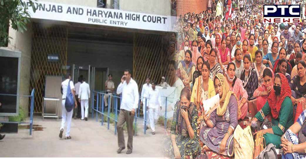 Big blow to Punjab government as HC cancels recruitment process of assistant prof for govt colleges
