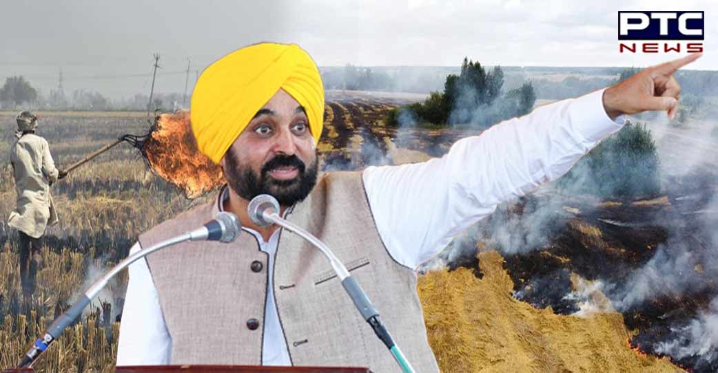 Punjab ready for crop diversification, wants assured remuneration: CM Bhagwant Mann urges Centre