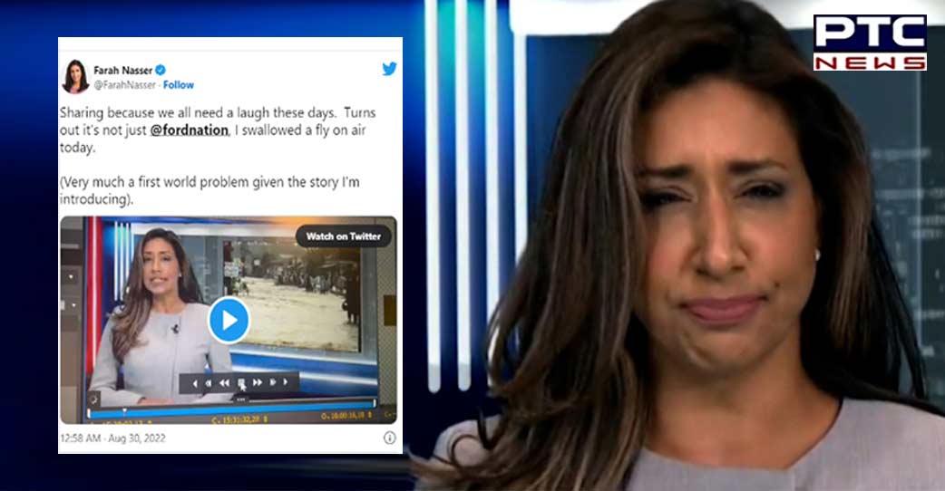 Viral video: TV anchor swallows fly while presenting news on Pak floods