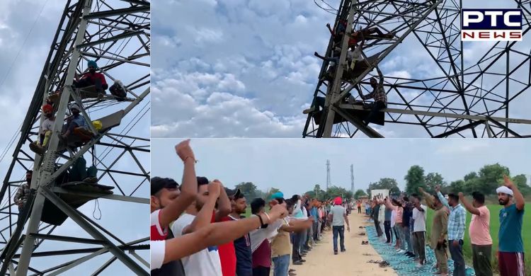 Unemployed linemen protest enters day 2, members climb atop towers; Seek cancellation of exam