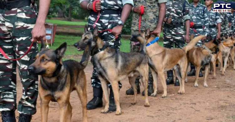 Dogs to act as ‘extra eyes’, couriers for CRPF in combat zones