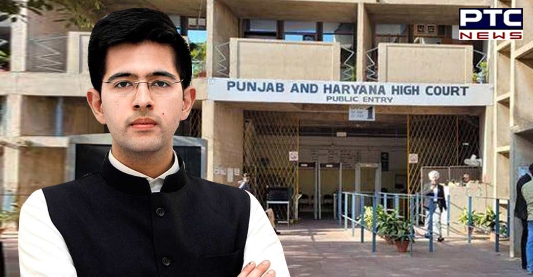 HC asks Govt about decision taken in Raghav Chadha’s advisory committee so far