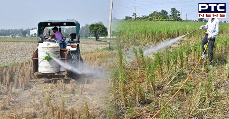 Delhi Govt starts spraying bio-decomposer to avoid stubble burning