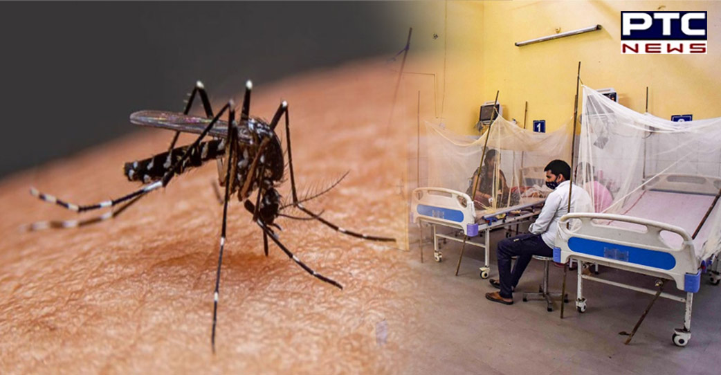 Centre deputes high-level-team to UP to assess, manage dengue situation