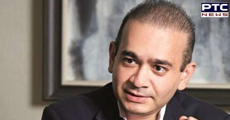 Special PMLA court allows ED to confiscate 39 properties of Nirav Modi