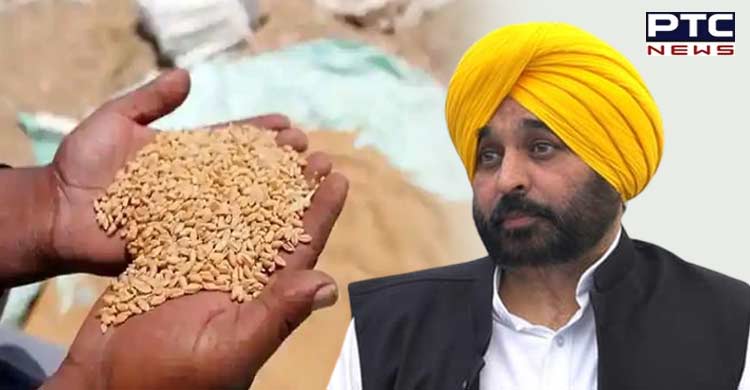 Food Security Act violated, alleges depot holders over non-distribution of wheat in last 6 months