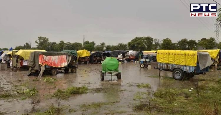 Watch: Farmers' protest in Punjab's Sangrur enters Day 3; rain fails to dampen their spirit