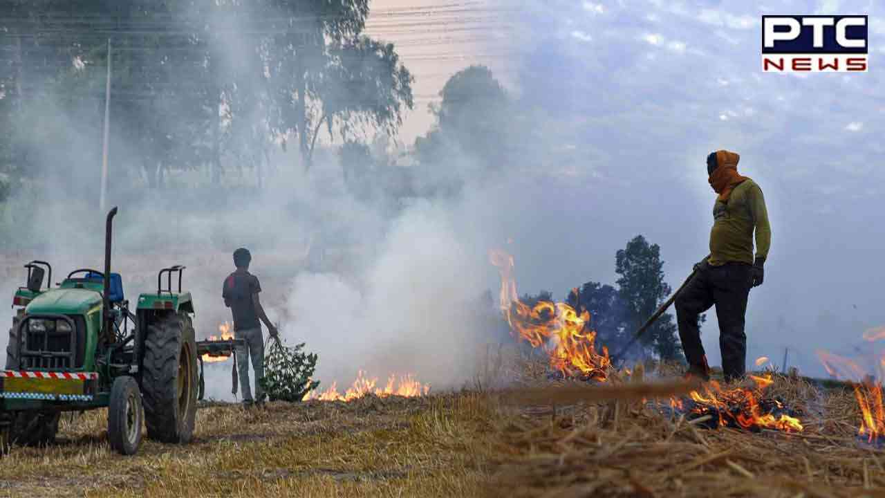 Air pollution: 'Red notice' issued against Ludhiana farmers for stubble burning