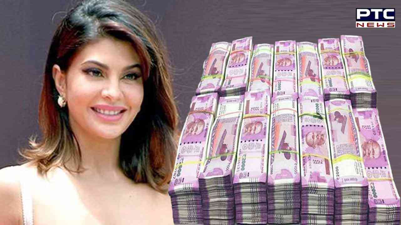 Money laundering case: Delhi Court grants bail to actor Jacqueline Fernandez