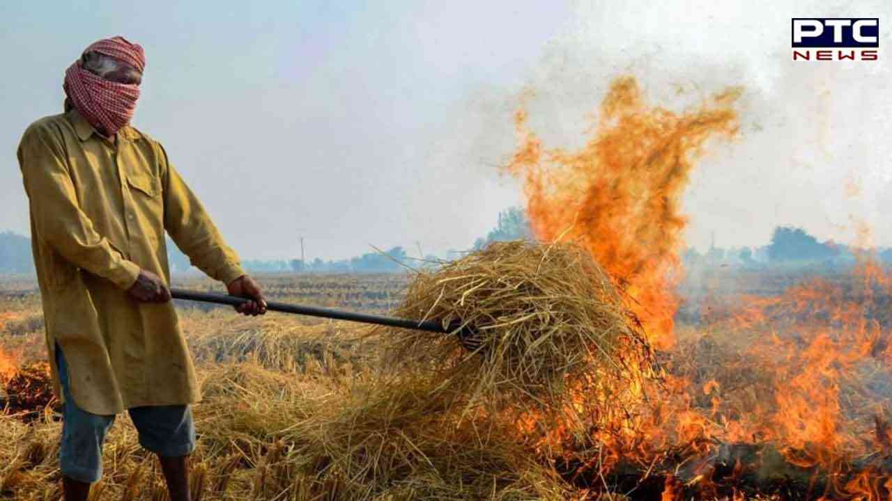 Stubble burning cases in Haryana not even 10 per cent of Punjab's: Haryana CM
