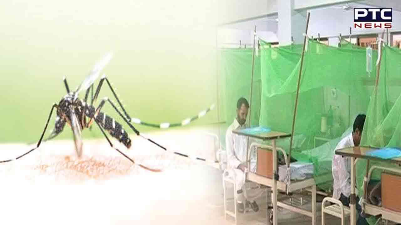 Punjab: Dengue cases increase, tally touches 6,000-mark; Patiala worst affected