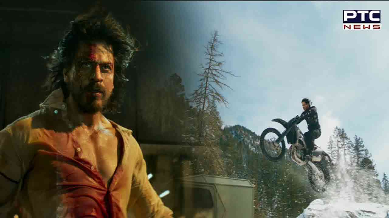SRK's birthday: Checkout action-packed avatar of King Khan in 'Pathaan' teaser