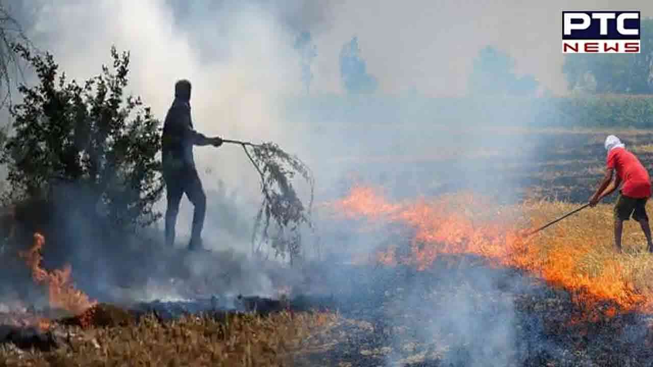 Punjab becomes hotspot for stubble burning, Sangrur tops chart