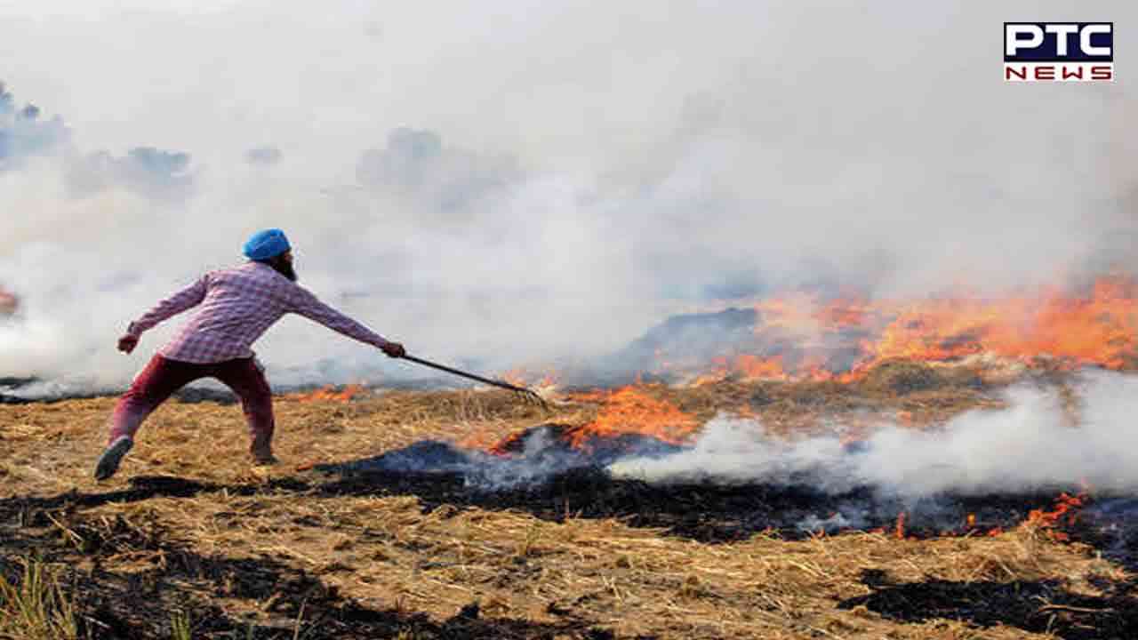 Punjab: Farmers hold Patwari hostage for over 24 hrs for inspecting stubble burning