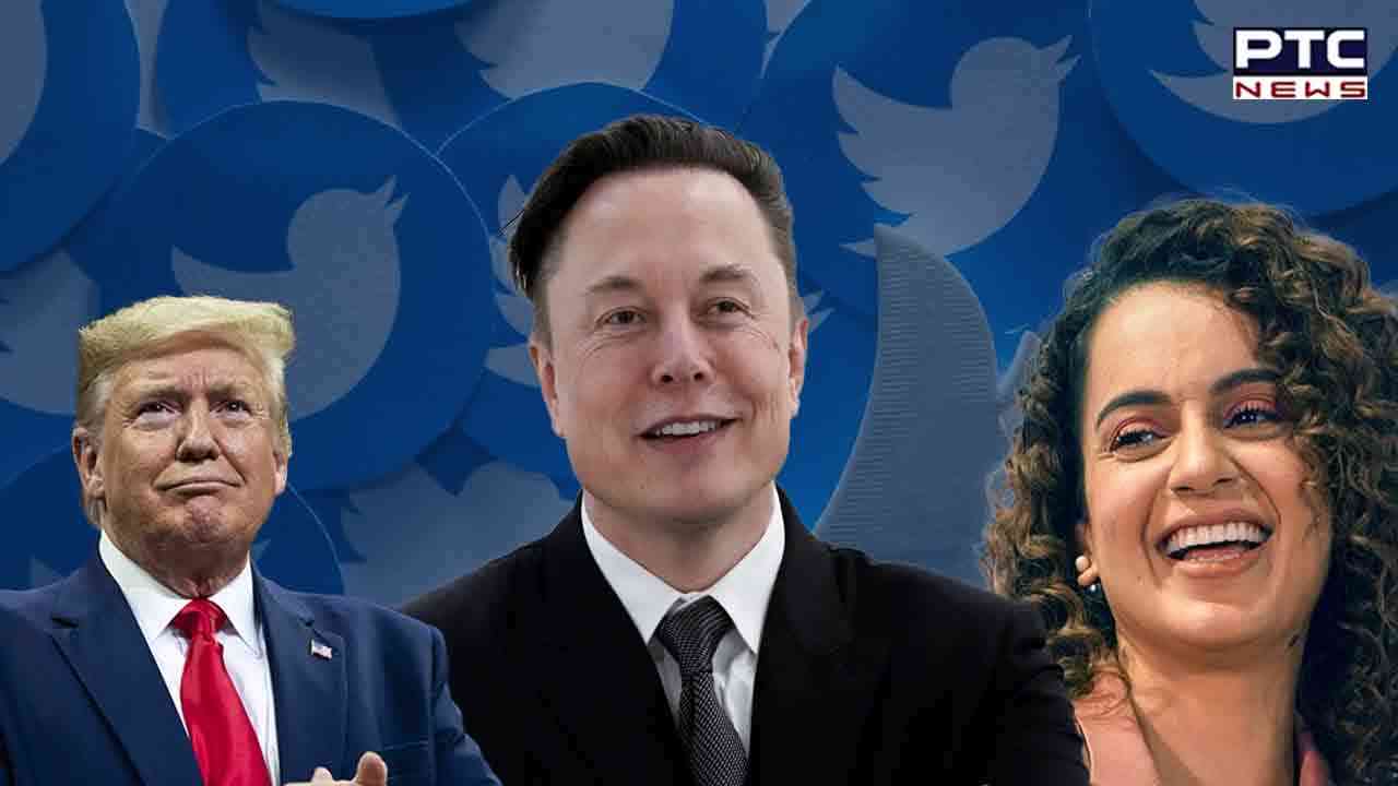 Elon Musk clarifies on whether Donald Trump, blocked accounts will return to Twitter