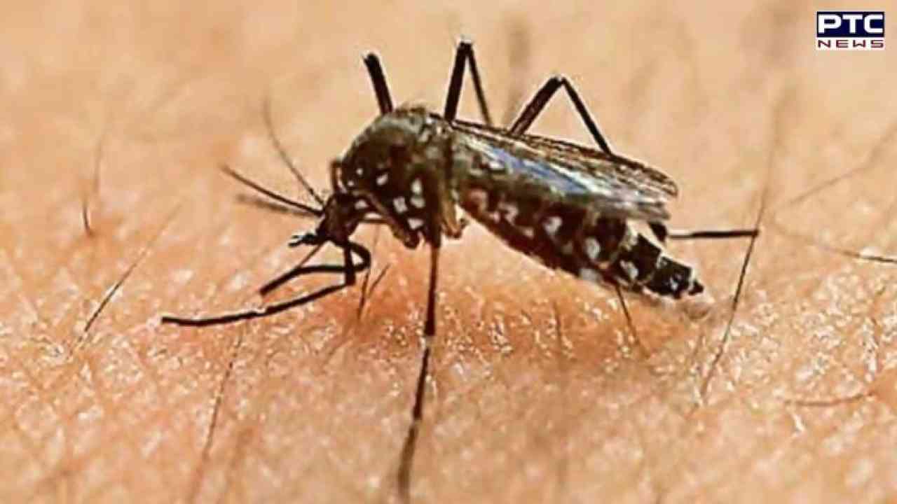 Karnataka reports first case of Zika , 5 year-old-girl tests positive