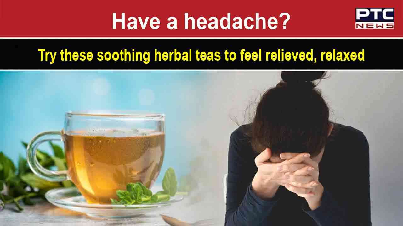 International Tea Day Did you know medicinal properties of flavoured