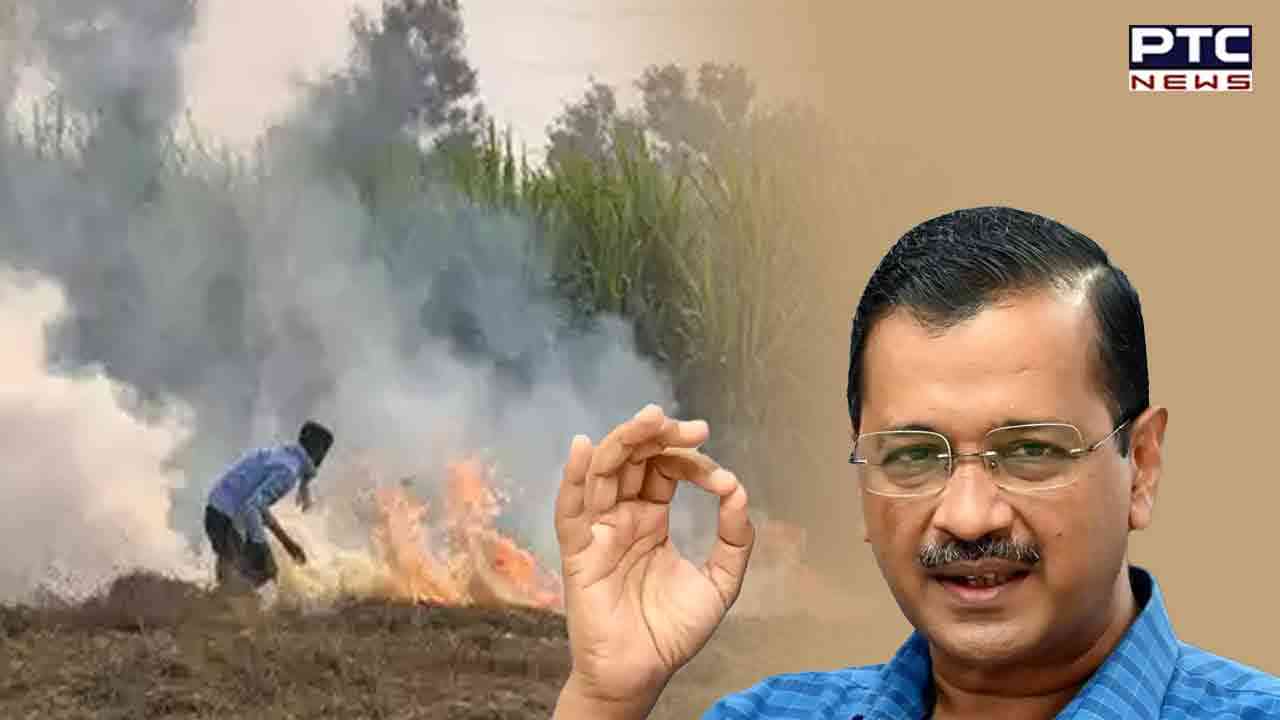 Delhi Govt launches campaign against open burning to curb pollution
