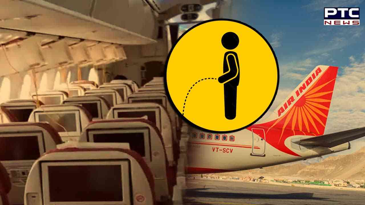 Man accused of mid-air peeing issues defending statement