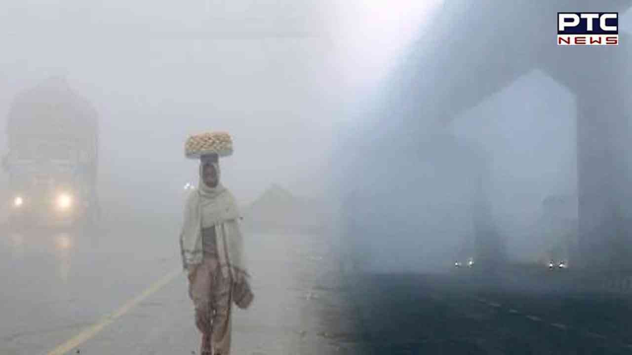 Dense to very dense fog shrouds Punjab, Haryana, Chandigarh; Drive with extreme caution, says IMD