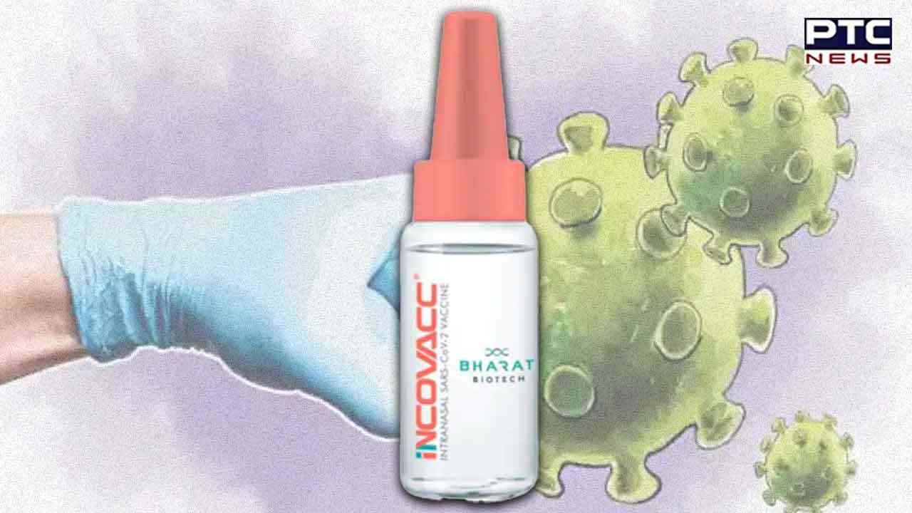 India's first nasal Covid vaccine iNCOVACC go on sale; booster costs Rs 800 per dose