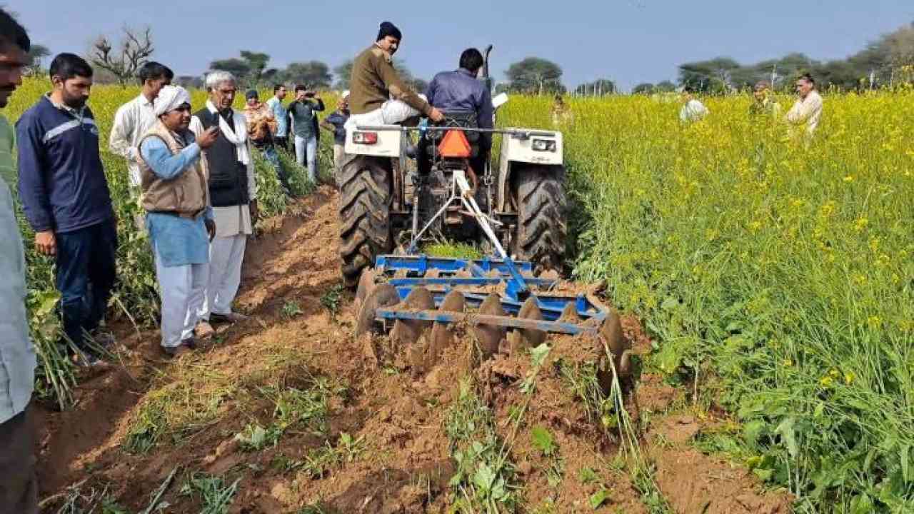 पाले से खराब हुई फसलों पर किसानों ने चलाया ट्रैक्टर, विधायक नैना चौटाला को दी ये चेतावनी