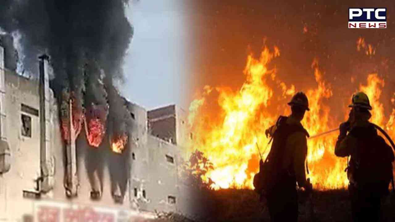 Fire engulfs plastic factory in Delhi, 15 fire tenders rushed to spot