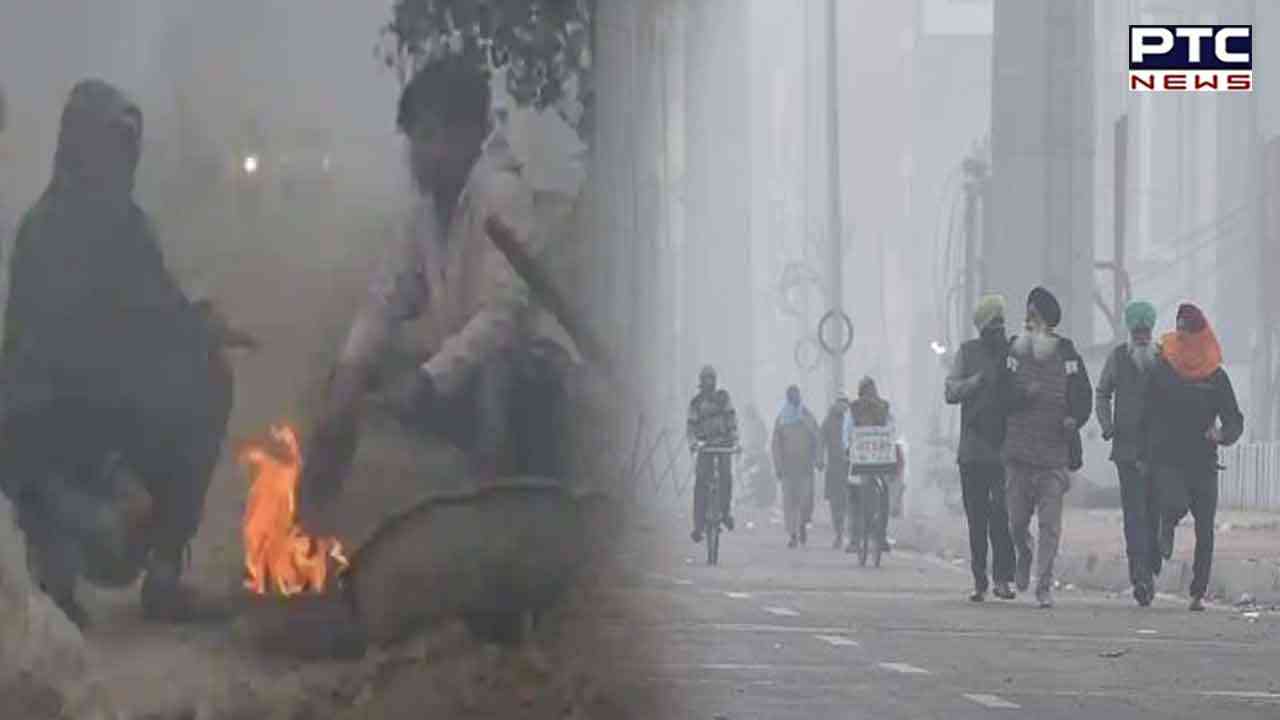 Intense coldwave grips Punjab, no relief likely for 3 days
