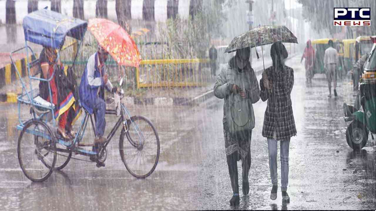 Punjab Weather Update: Brief spell of rain to break severe Coldwave streak