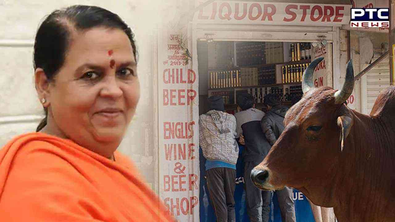 Uma Bharti ties stray cows in front of liquor shop