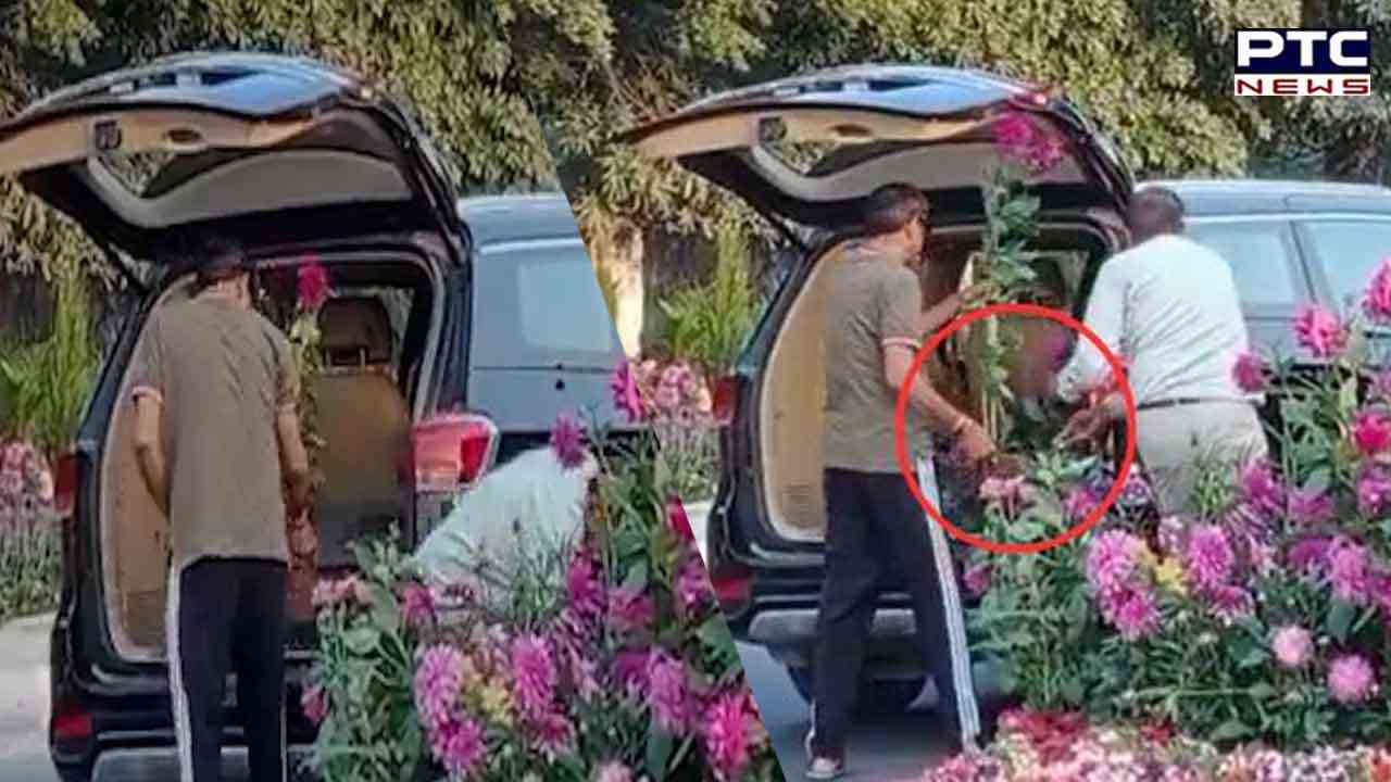 Viral: Men in luxury car with VIP licence plate steal flower pots set up for G20 event