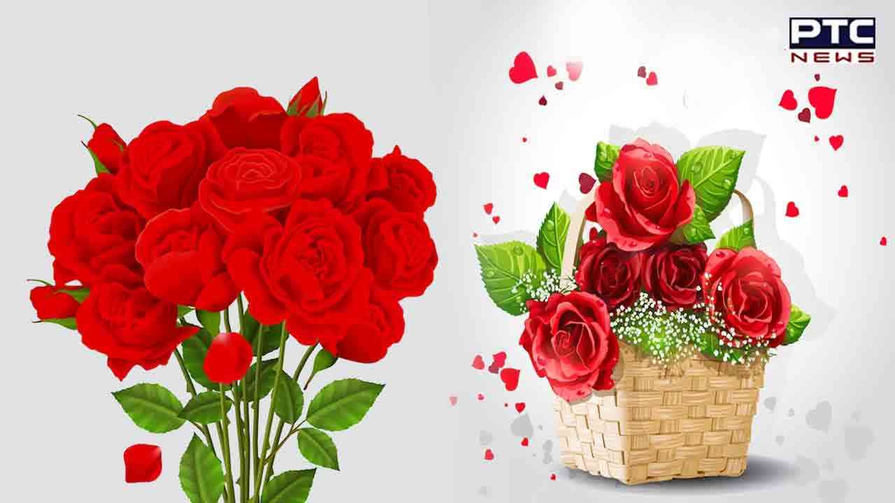 Happy Rose Day 2023: Wishes, quotes, images, greetings to share with your love